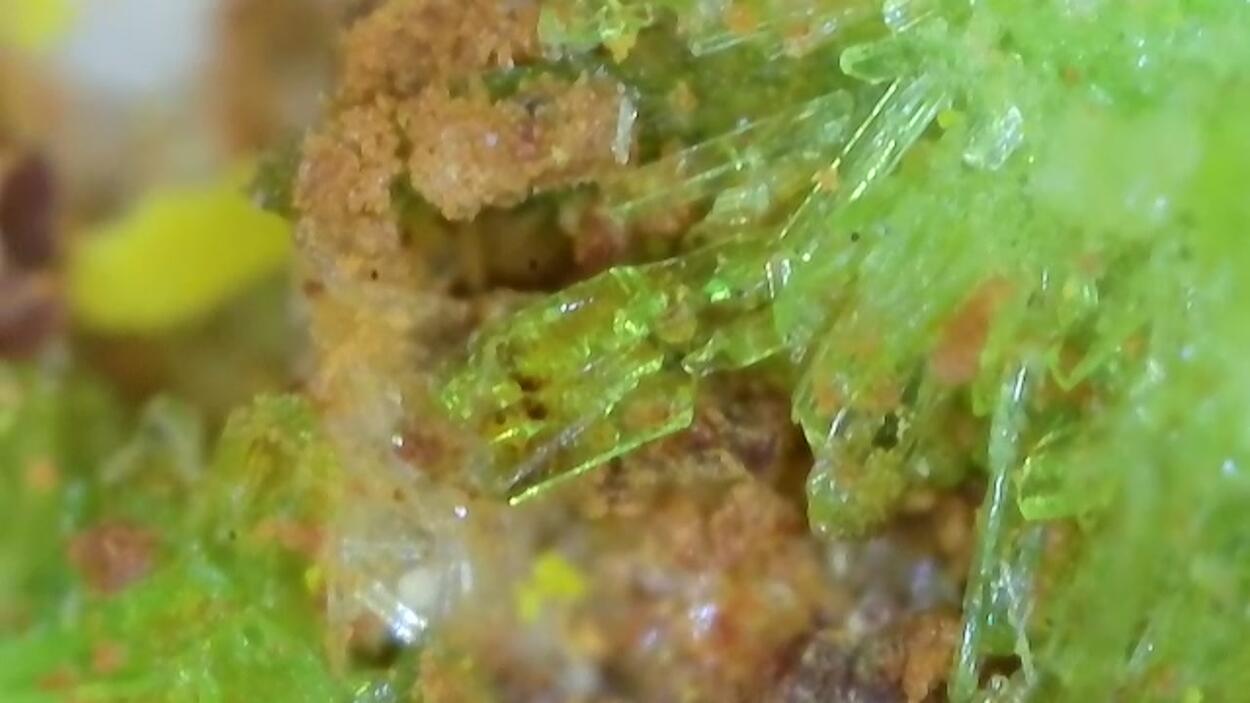 Johannite With Natrozippeite