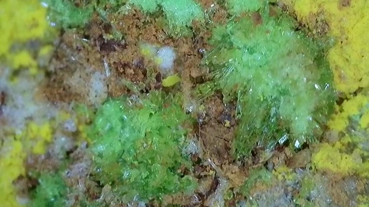 Johannite With Natrozippeite