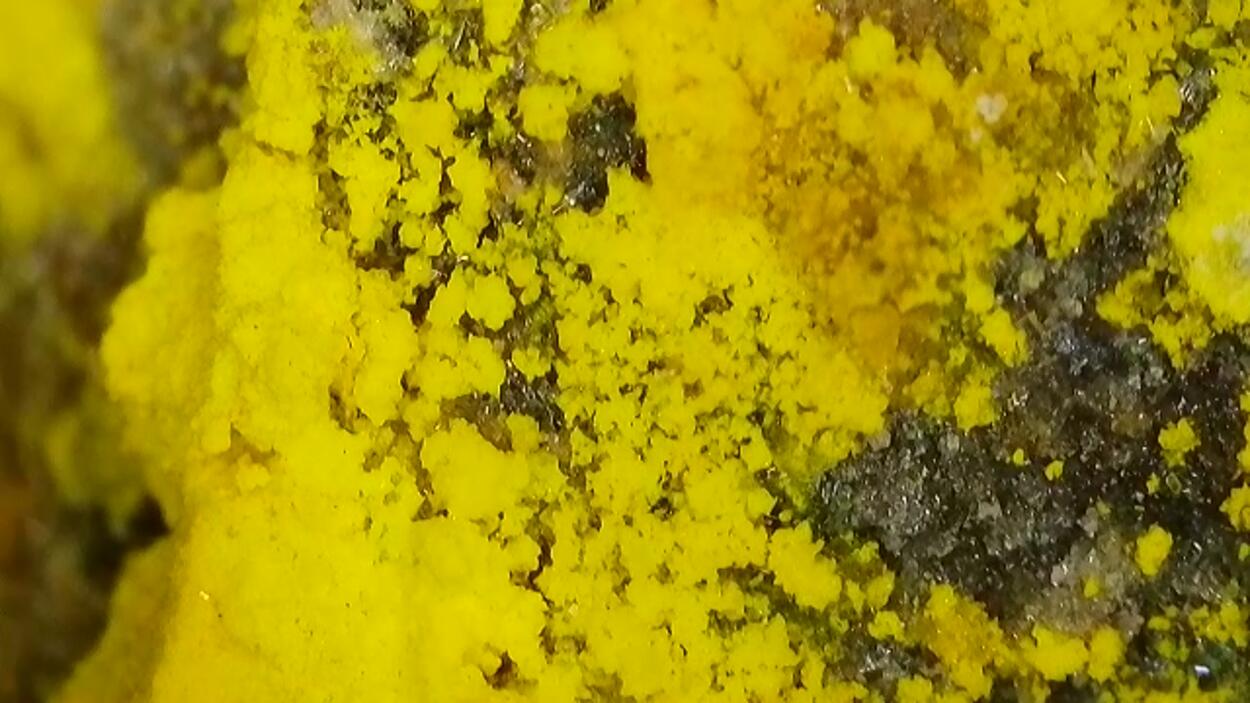 Johannite With Natrozippeite