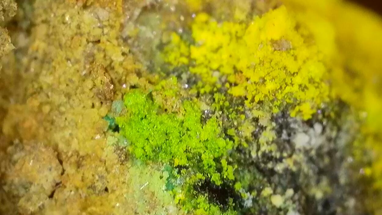 Johannite With Natrozippeite