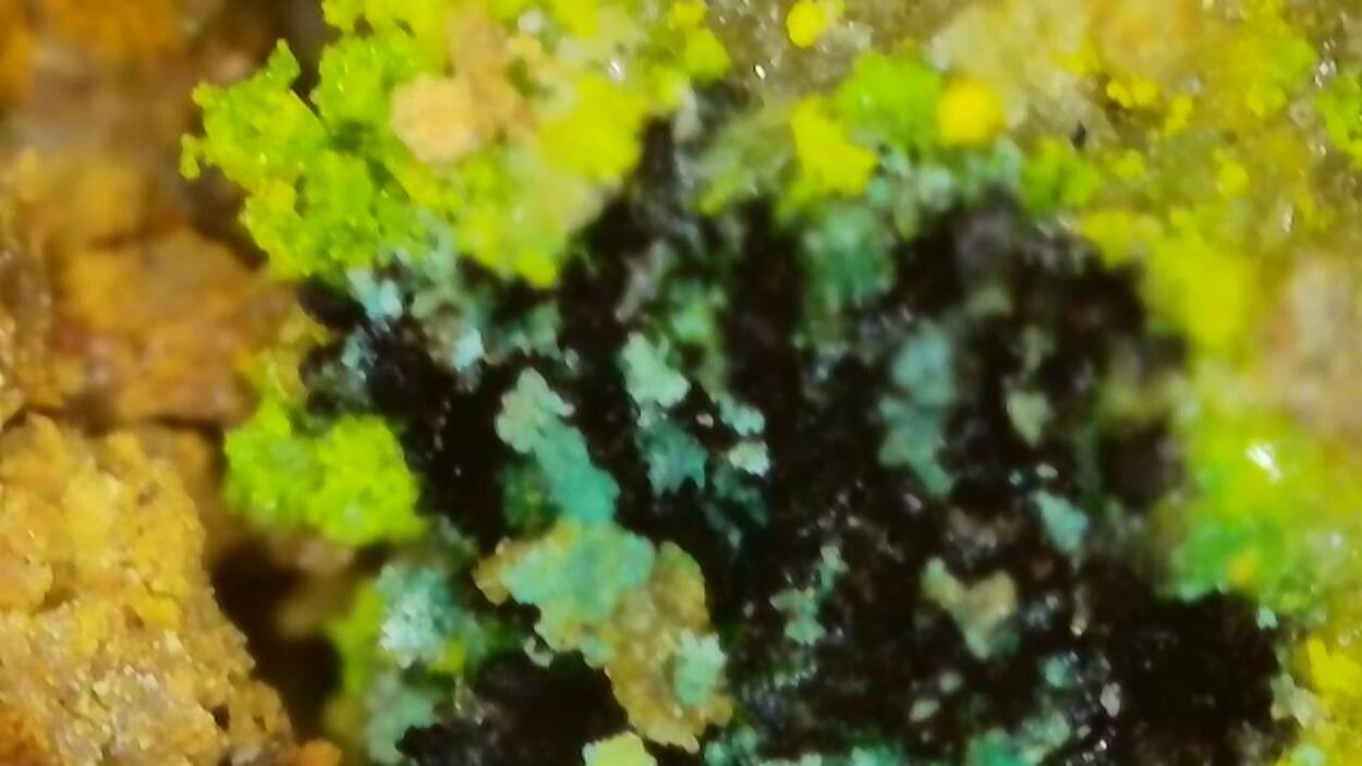 Johannite With Natrozippeite