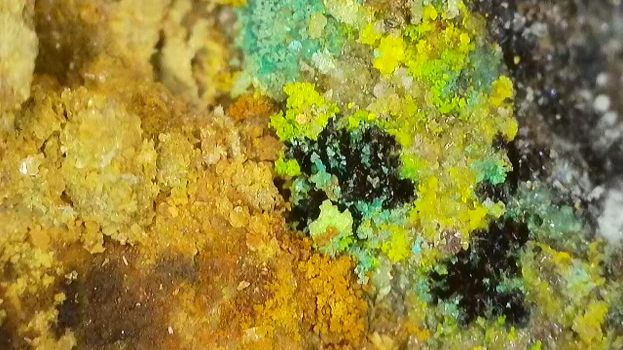 Johannite With Natrozippeite