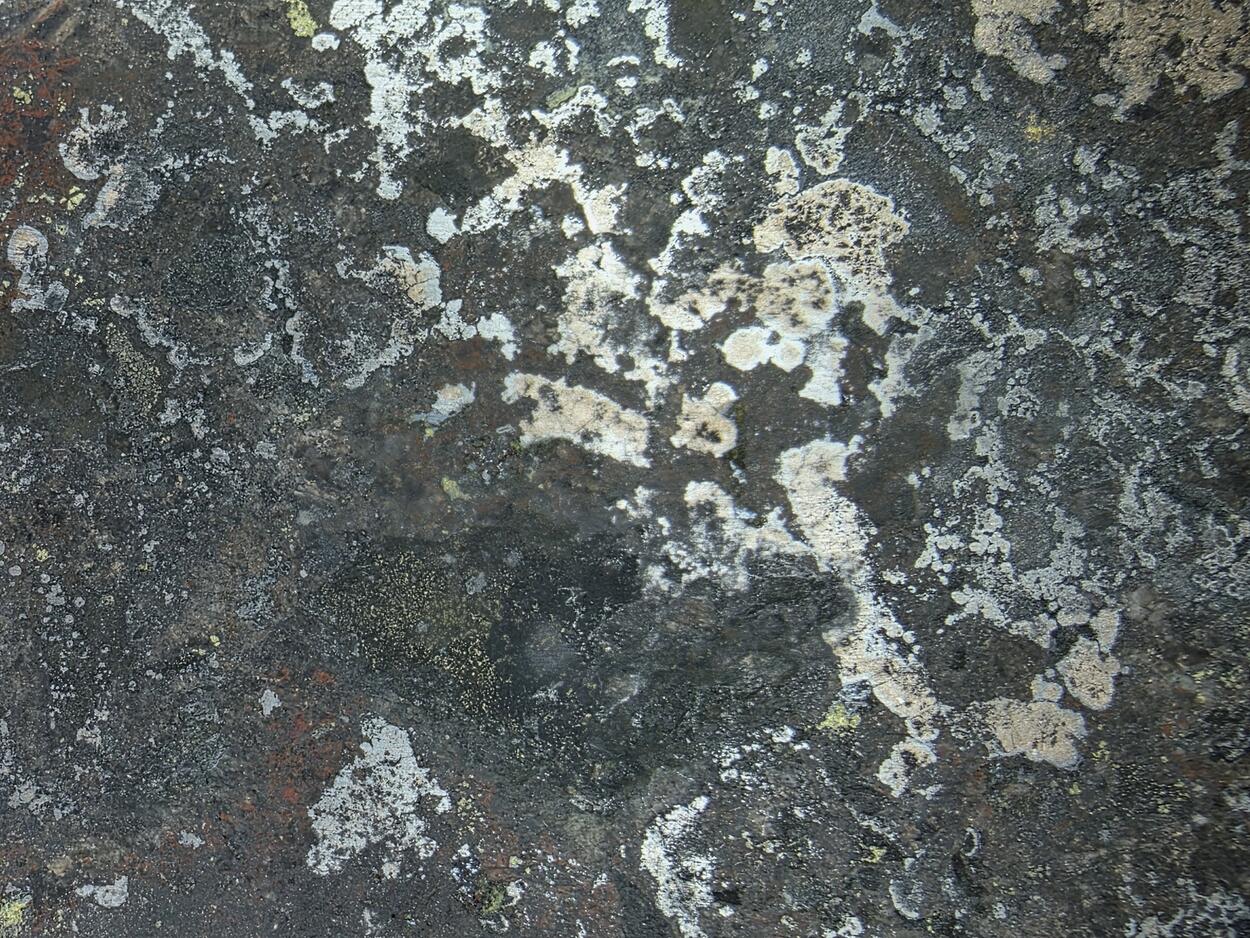 Nickeline With Uraninite