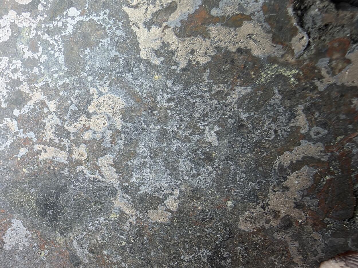 Nickeline With Uraninite