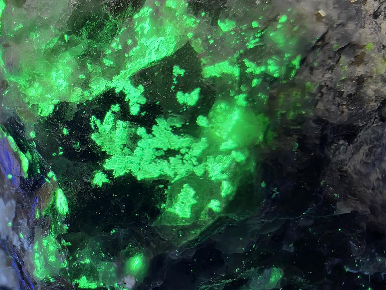 Autunite