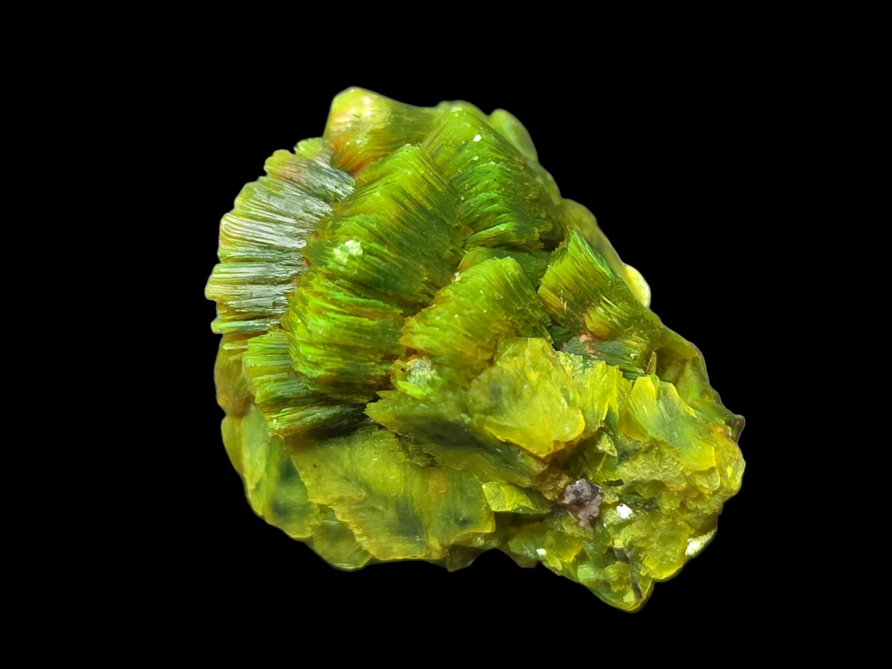 Autunite