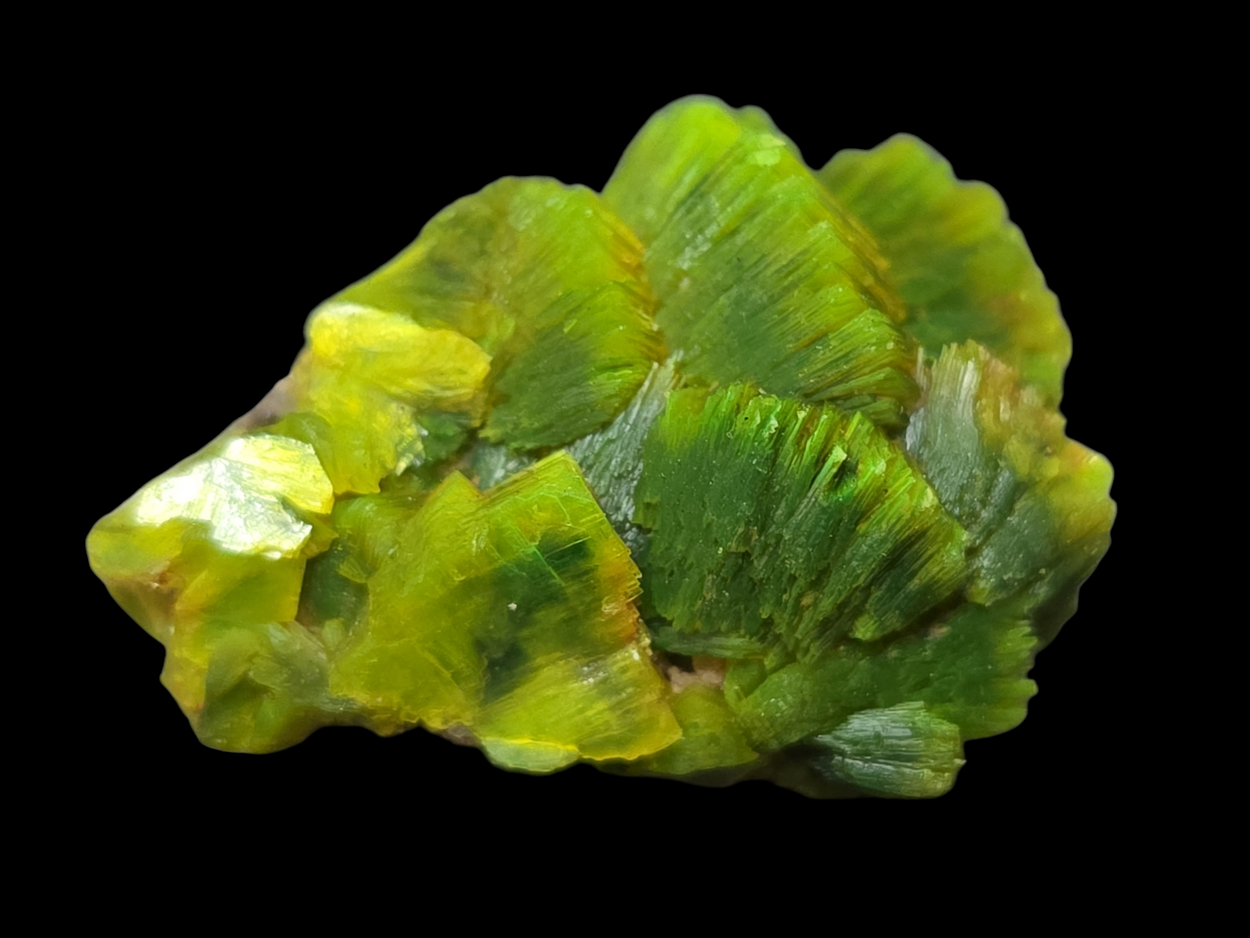 Autunite