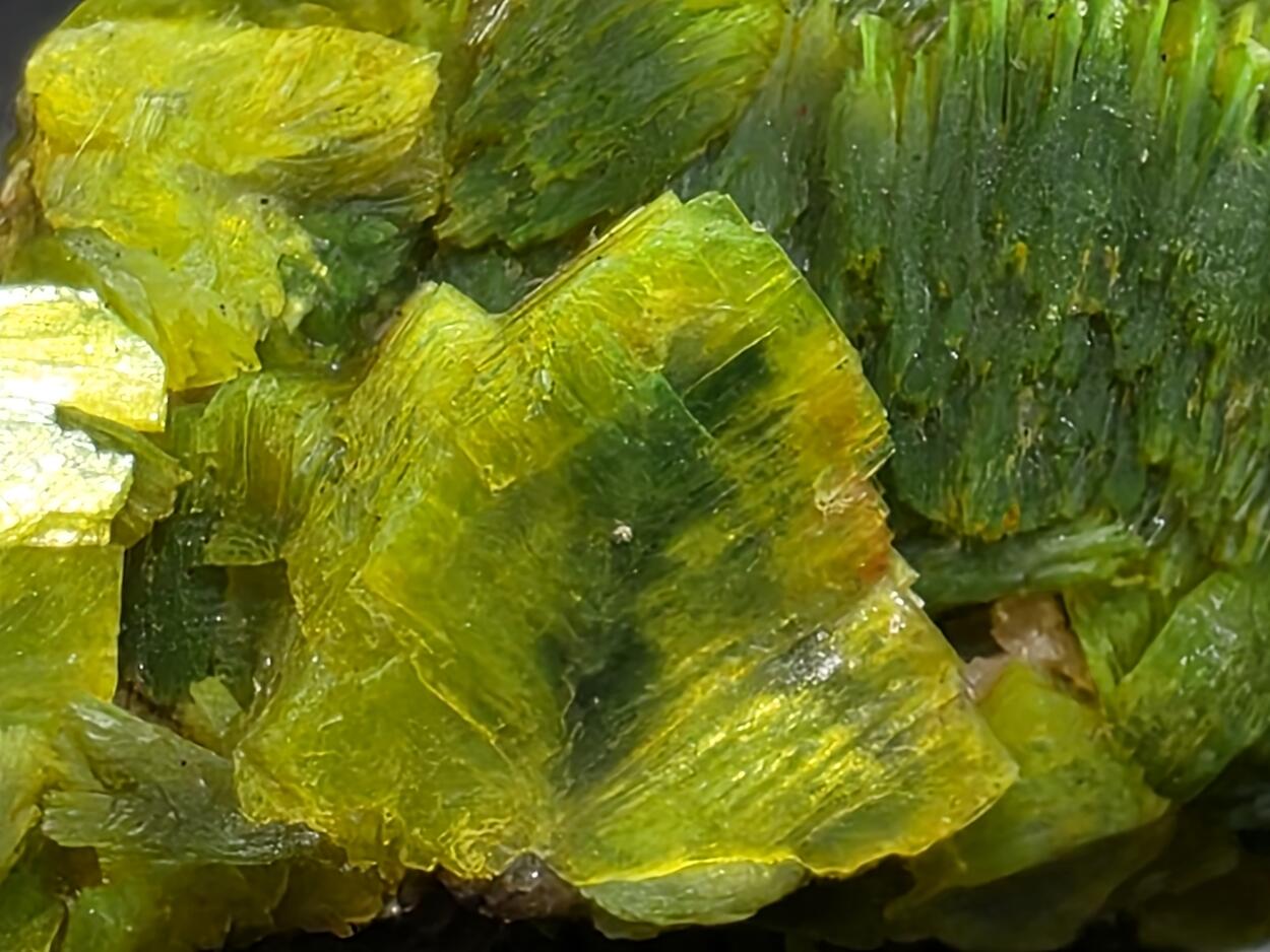 Autunite