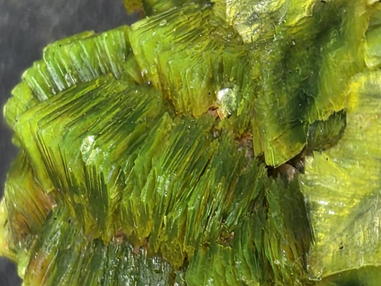 Autunite