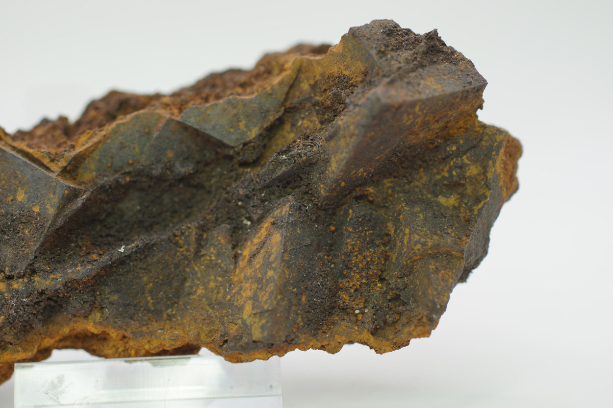 Limonite Psm Pyrite