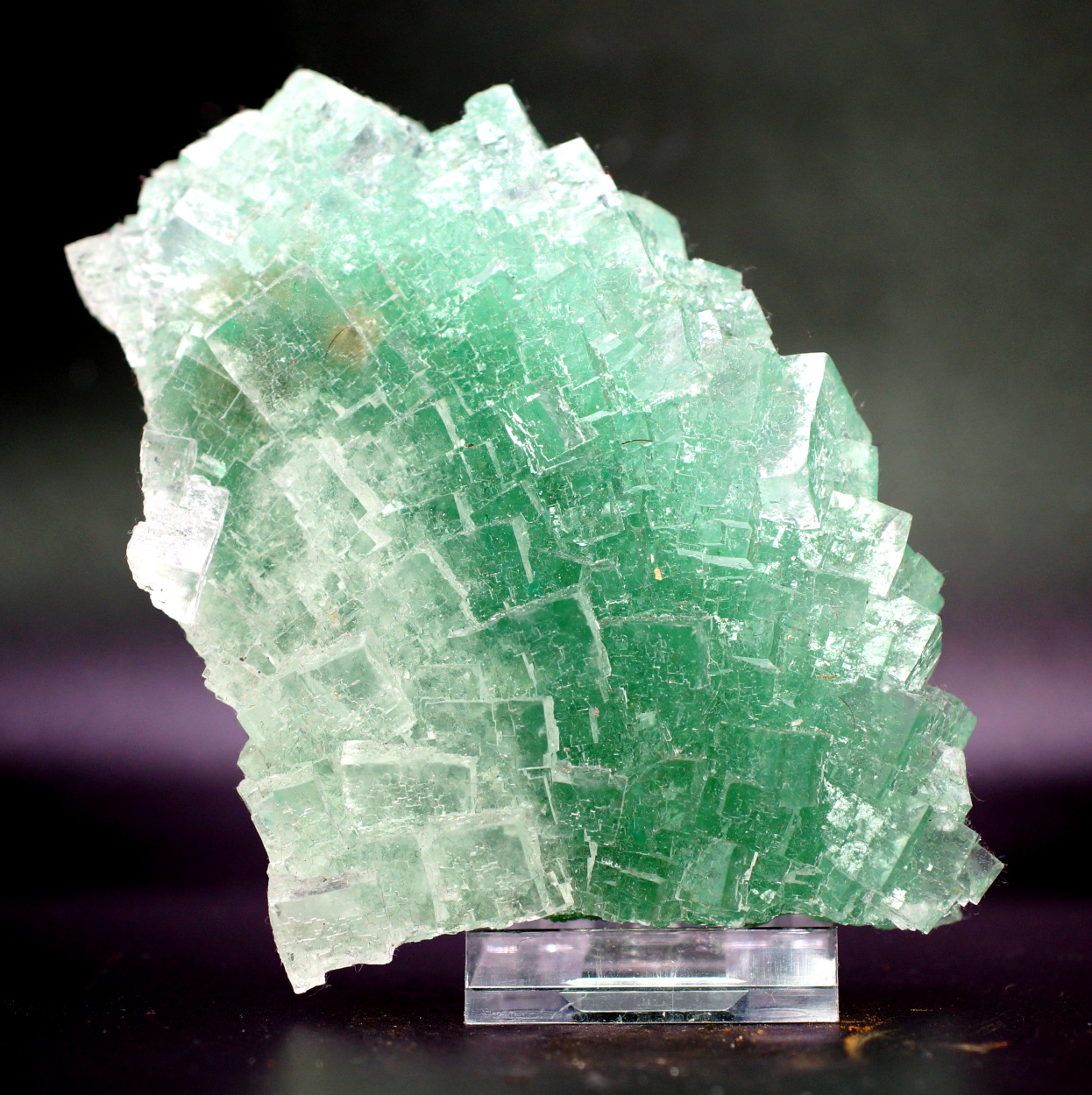 Halite & Atacamite