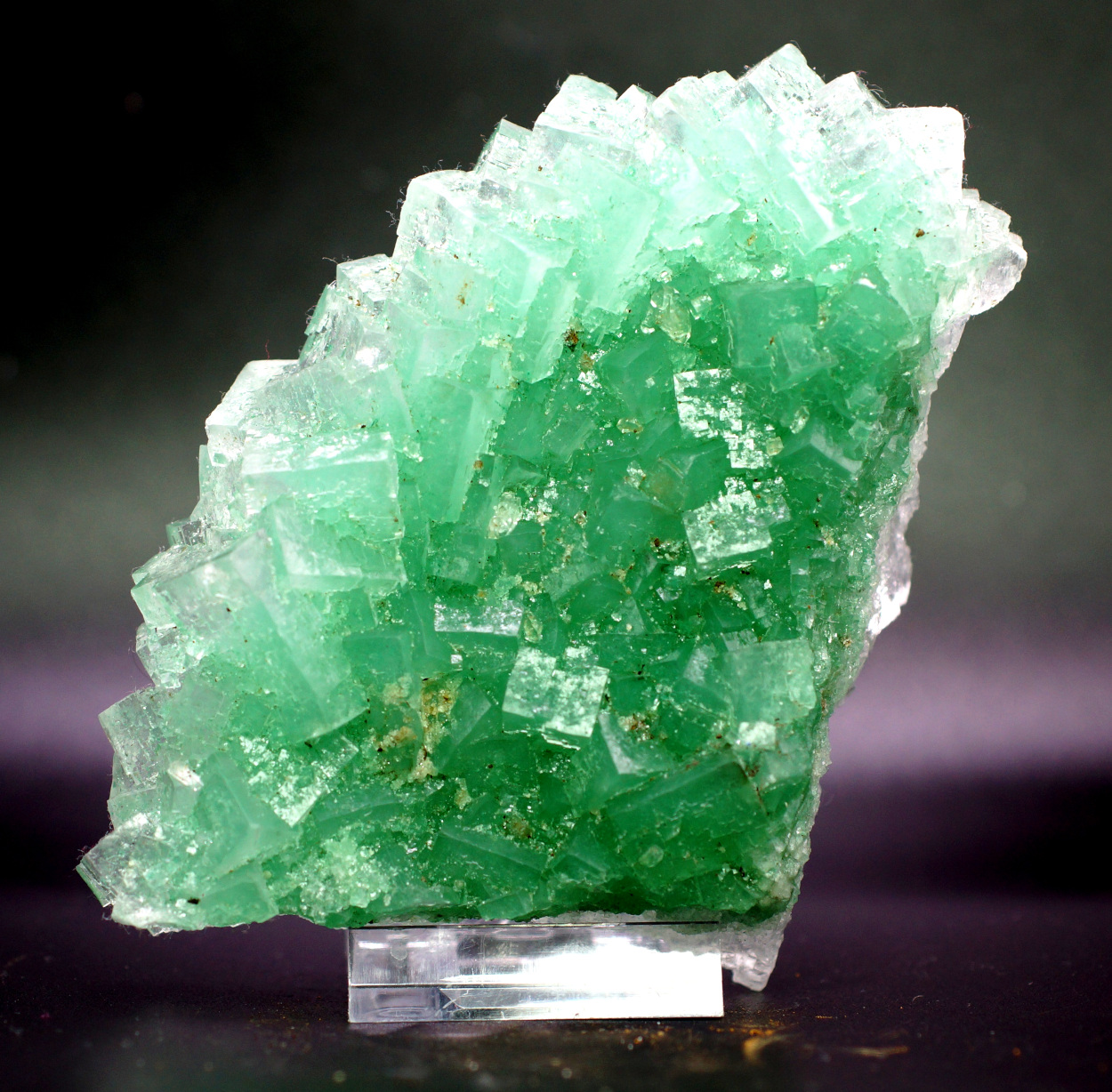 Halite & Atacamite