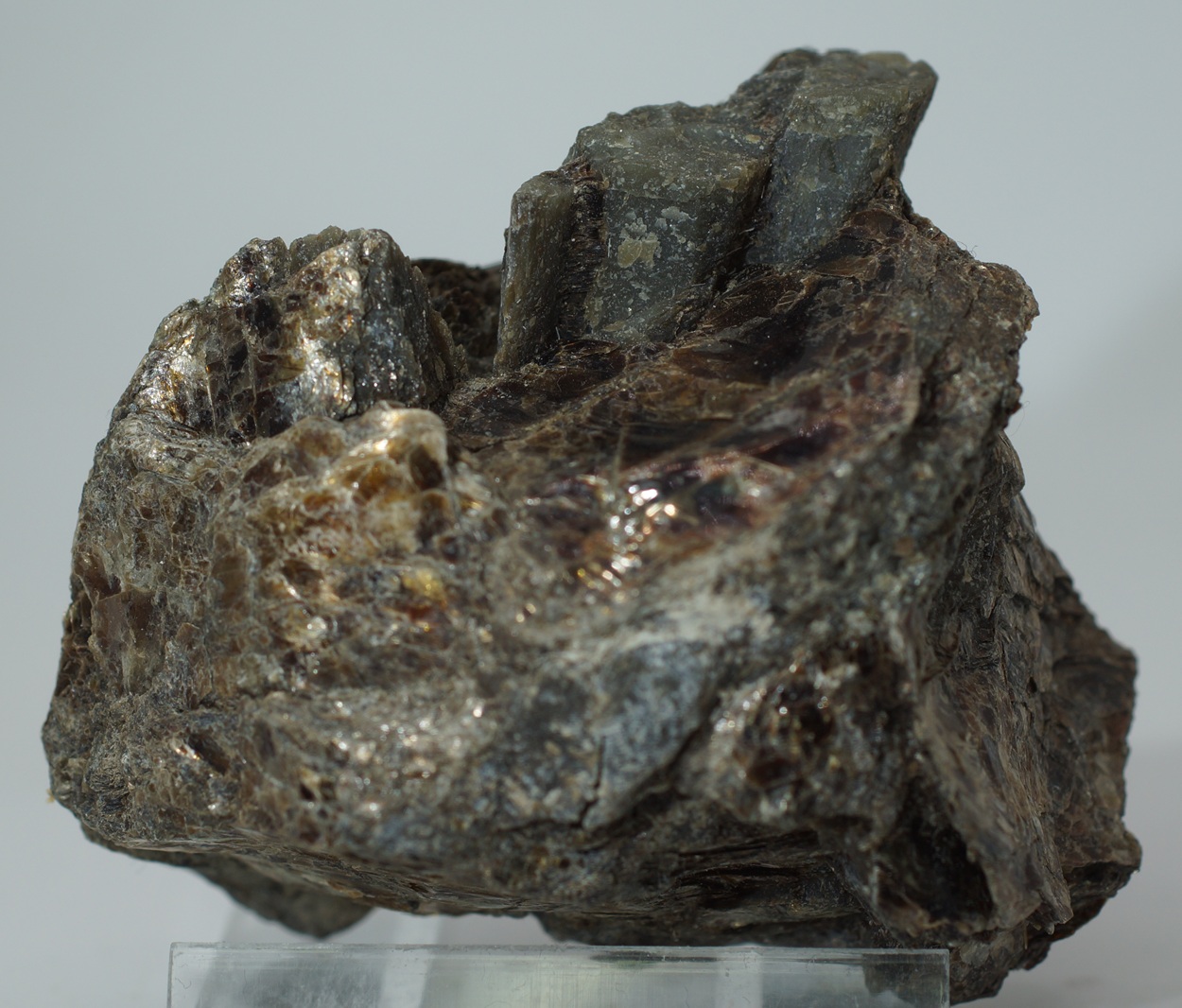 Enstatite & Phlogopite
