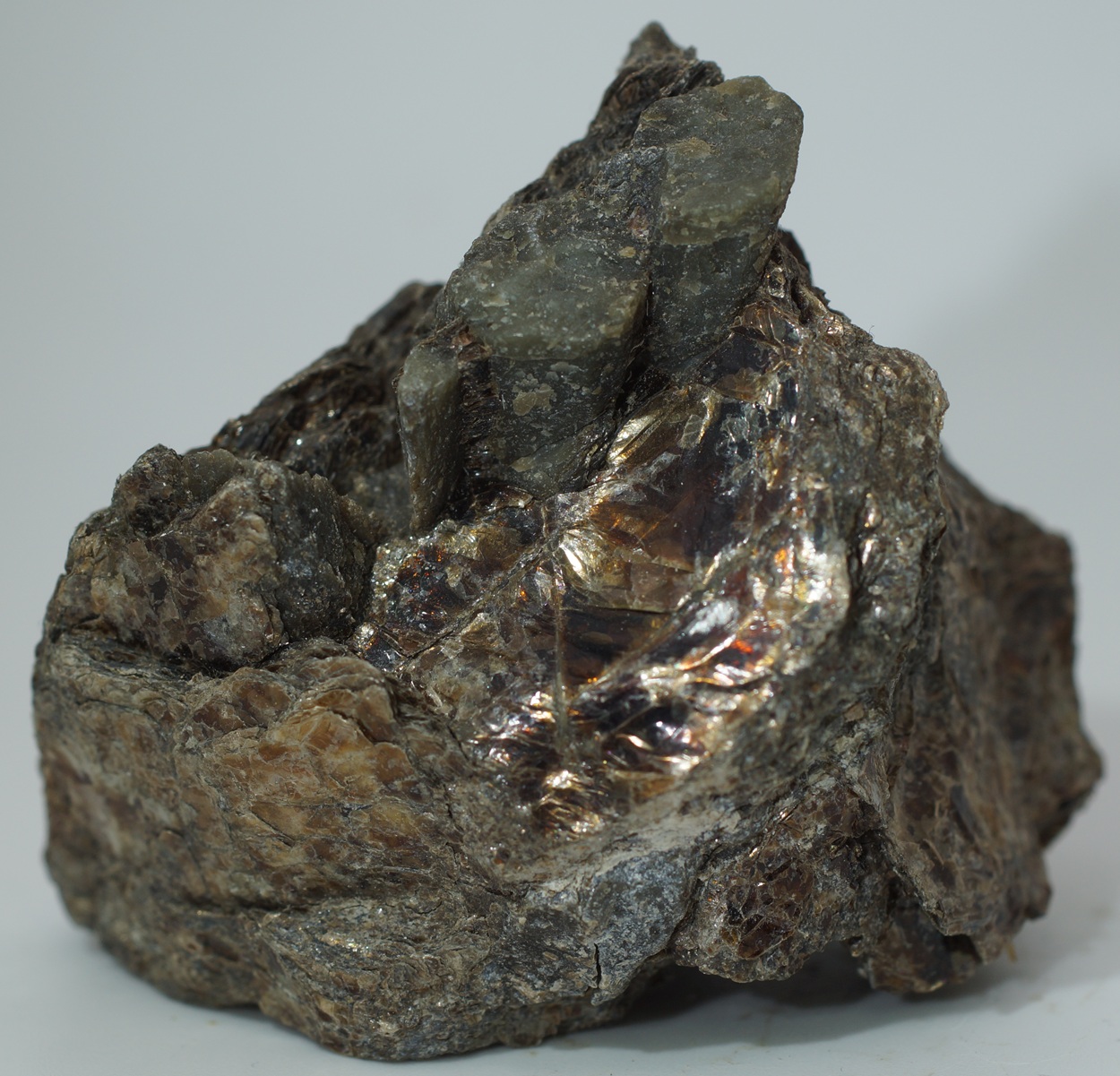 Enstatite & Phlogopite