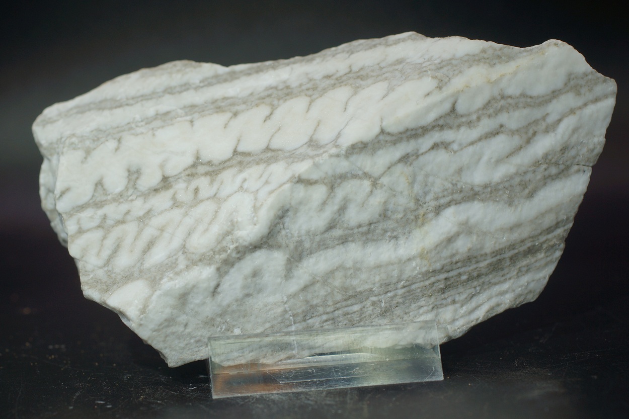 Gypsum Var Schlangengips