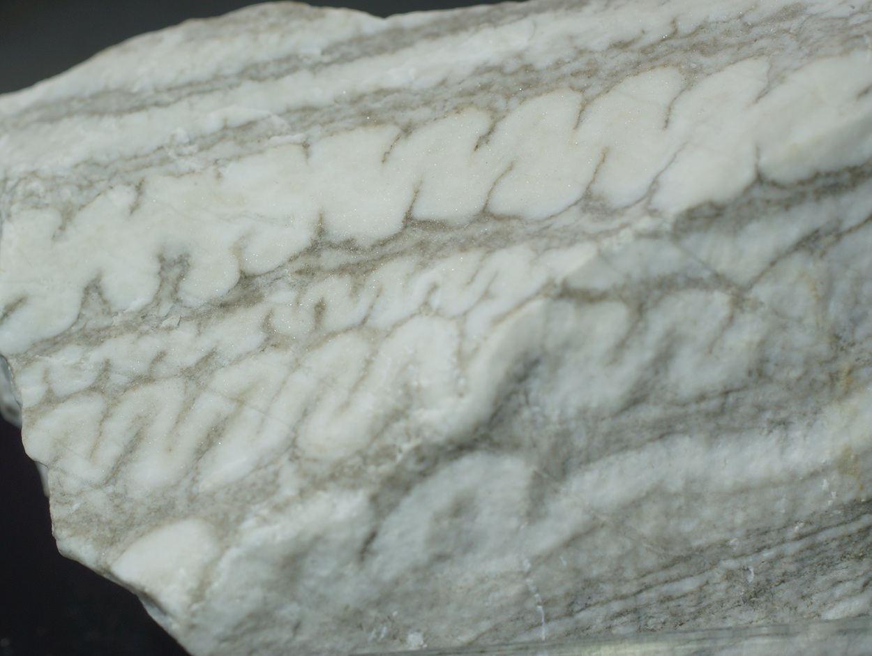Gypsum Var Schlangengips