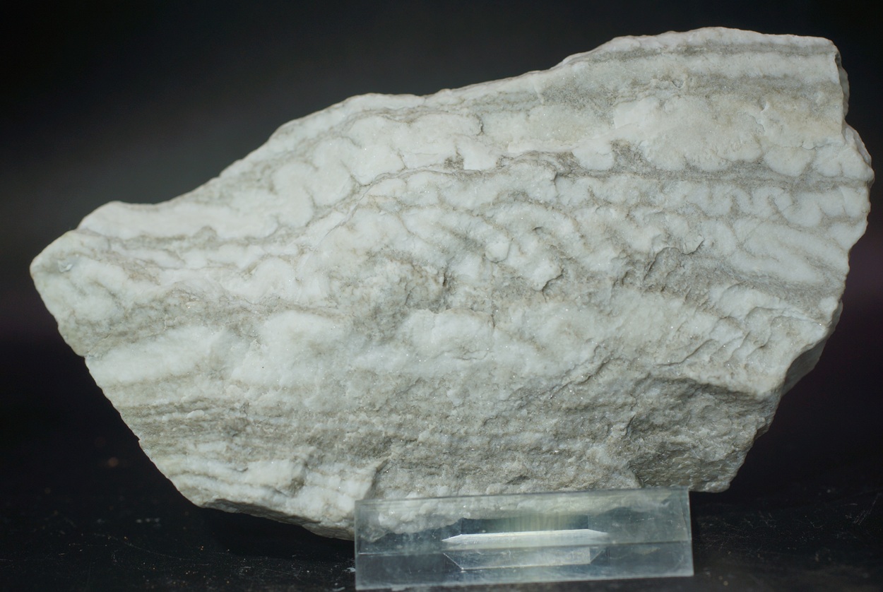 Gypsum Var Schlangengips