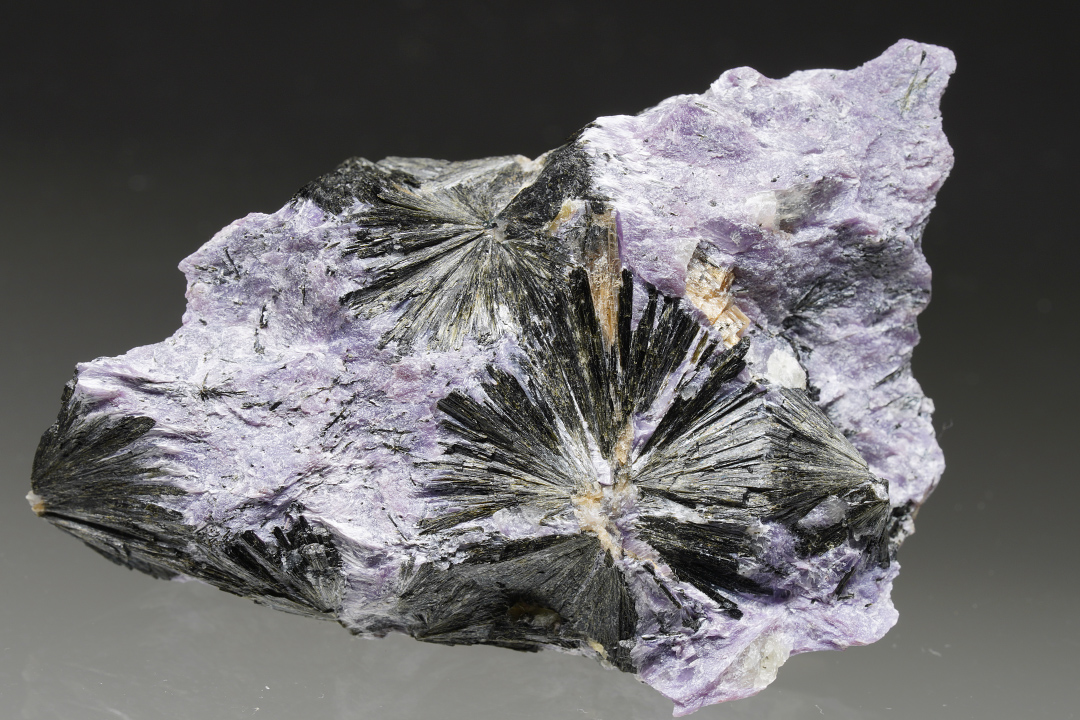 Aegirine & Charoite