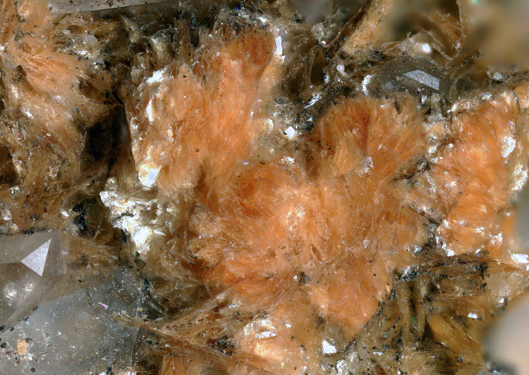 Ganophyllite