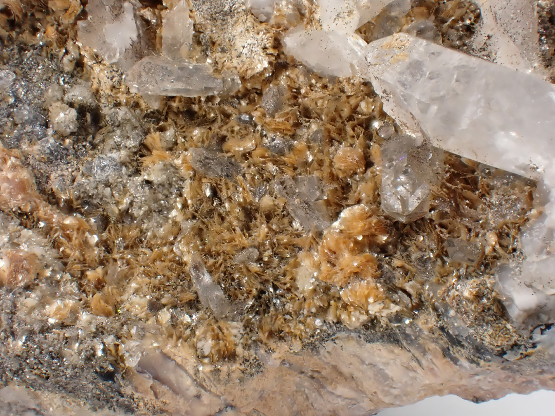 Ganophyllite