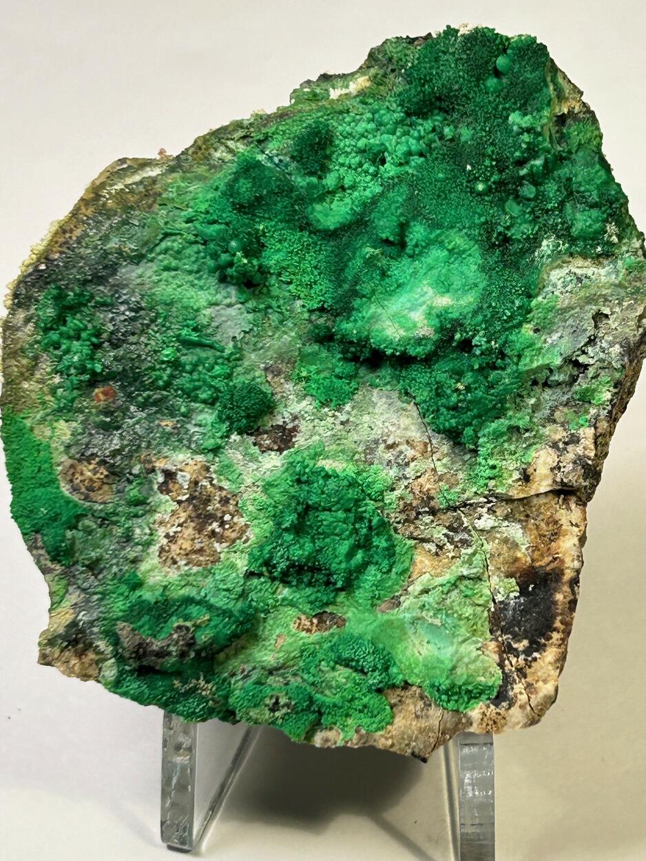 Conichalcite