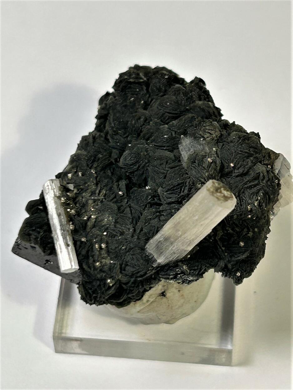 Fluorapatite With Topaz Ferberite Muscovite & Pyrite