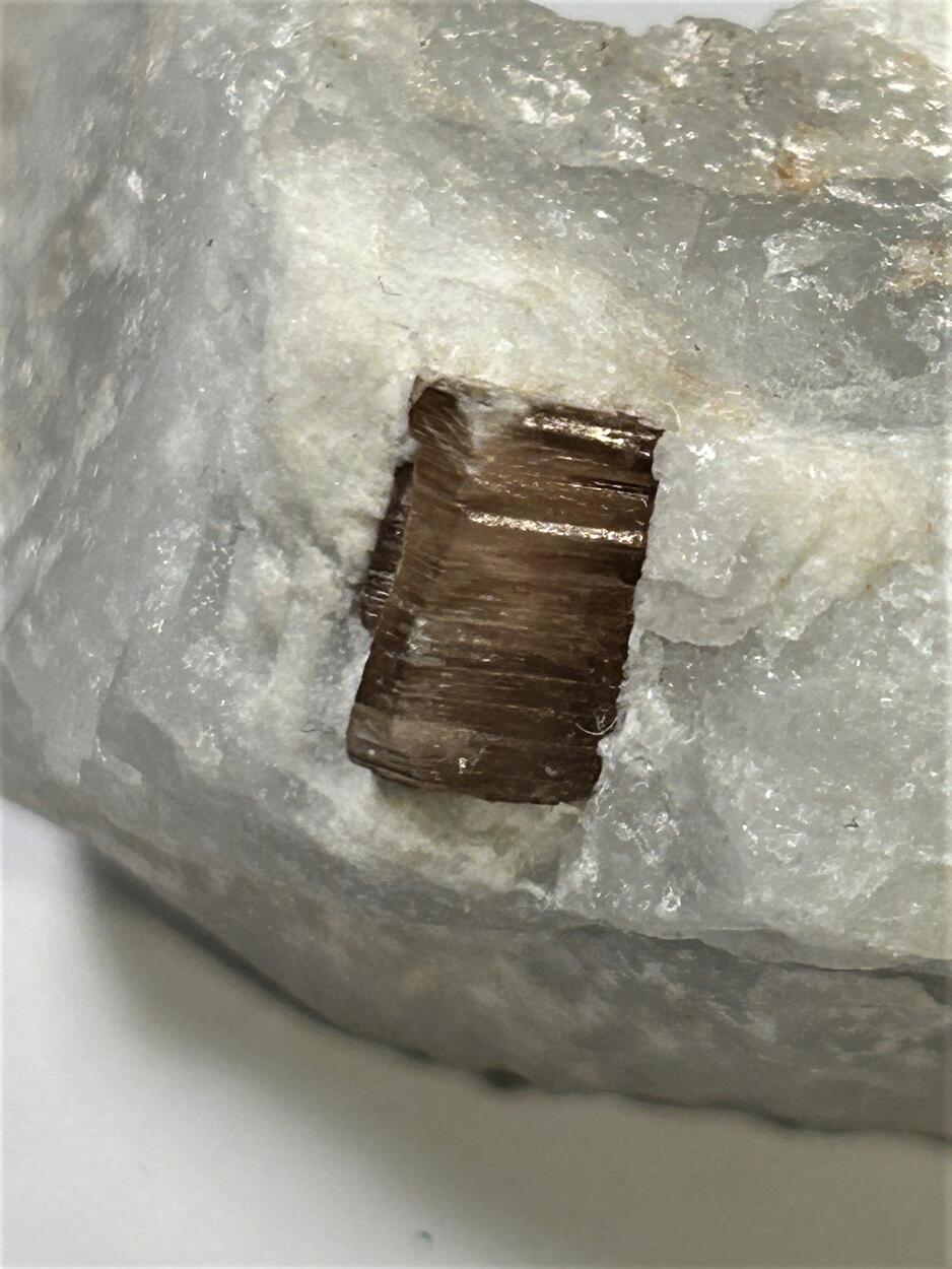 Phlogopite In Marble