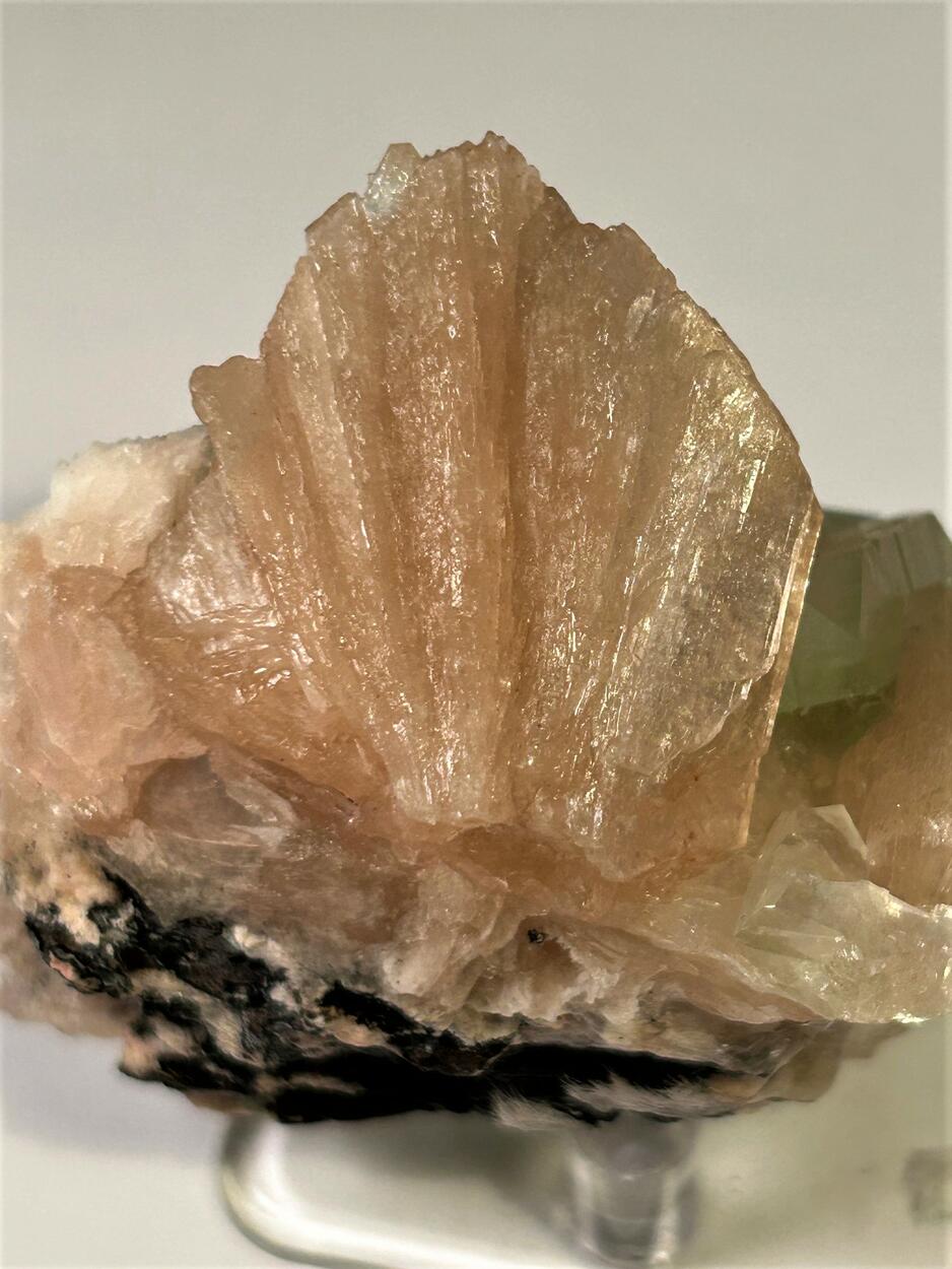 Apophyllite & Stilbite