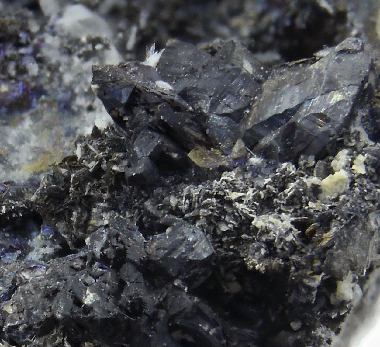 Argentopyrite & Proustite