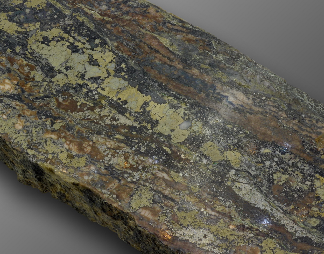 Freibergite Argentite & Chalcopyrite