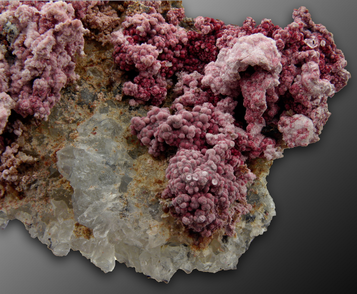 Erythrite On Skutterudite