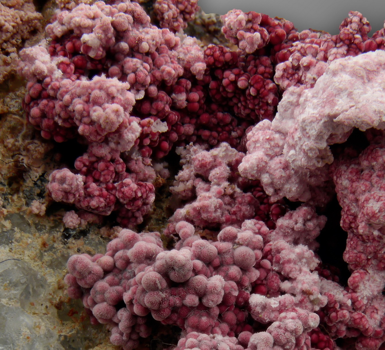 Erythrite On Skutterudite