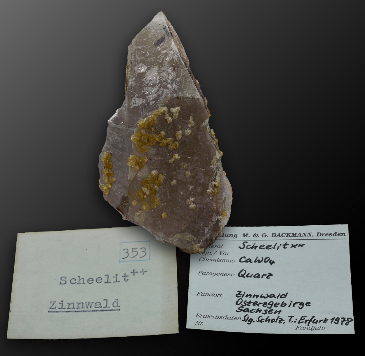 Scheelite On Smoky Quartz