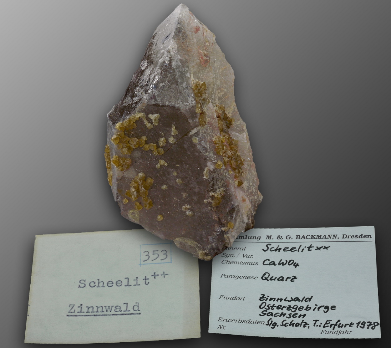 Scheelite On Smoky Quartz