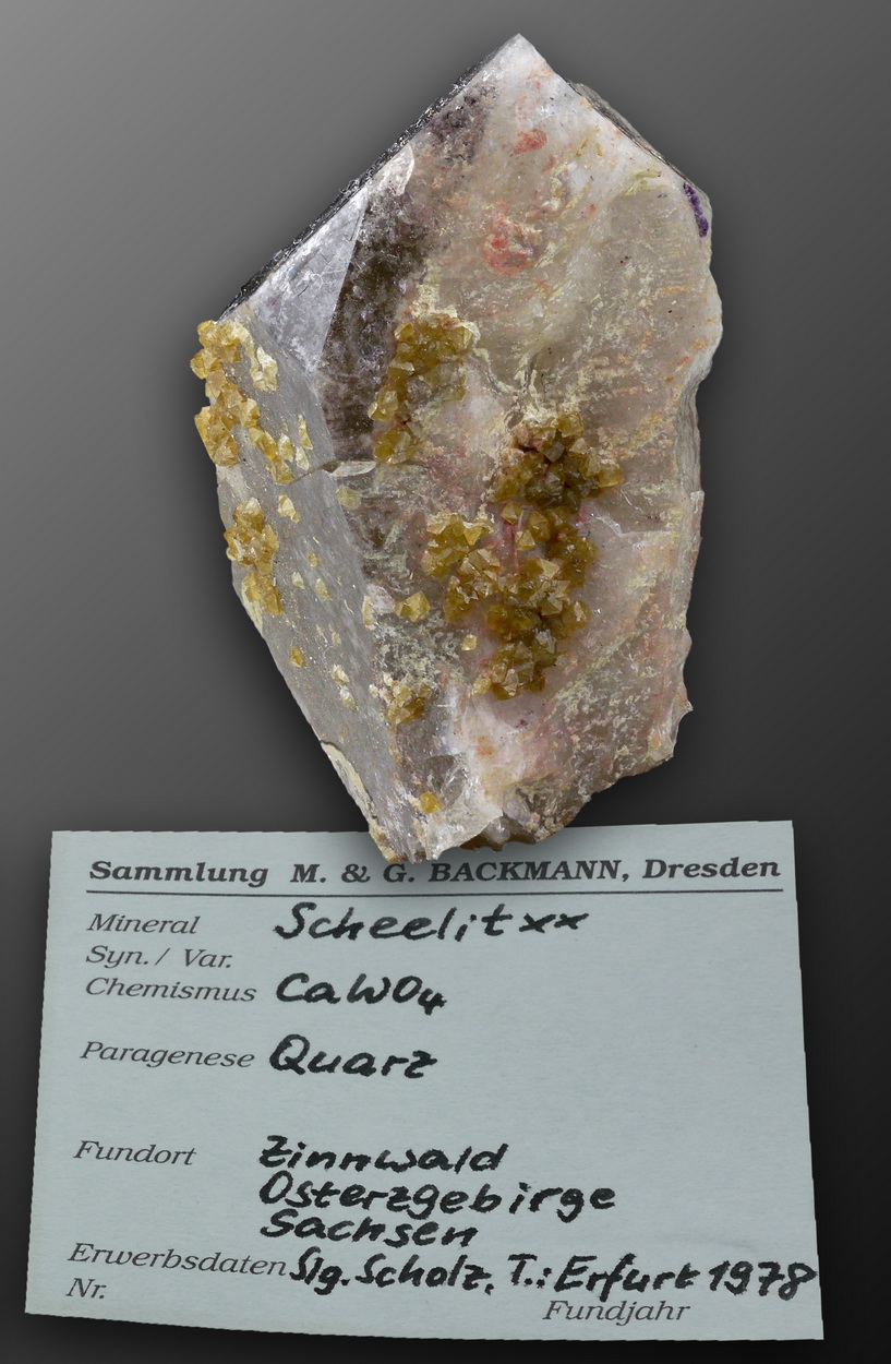 Scheelite On Smoky Quartz
