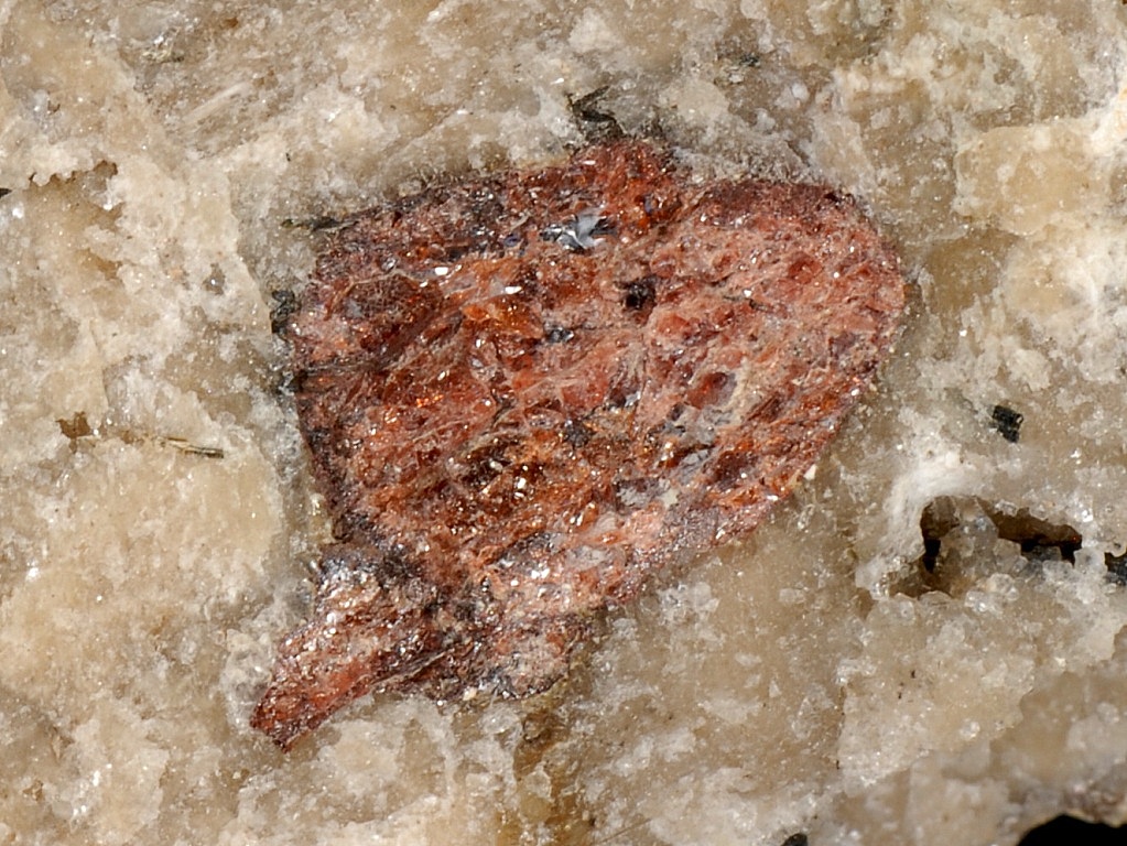 Lorenzenite Vinogradovite & Eudialyte