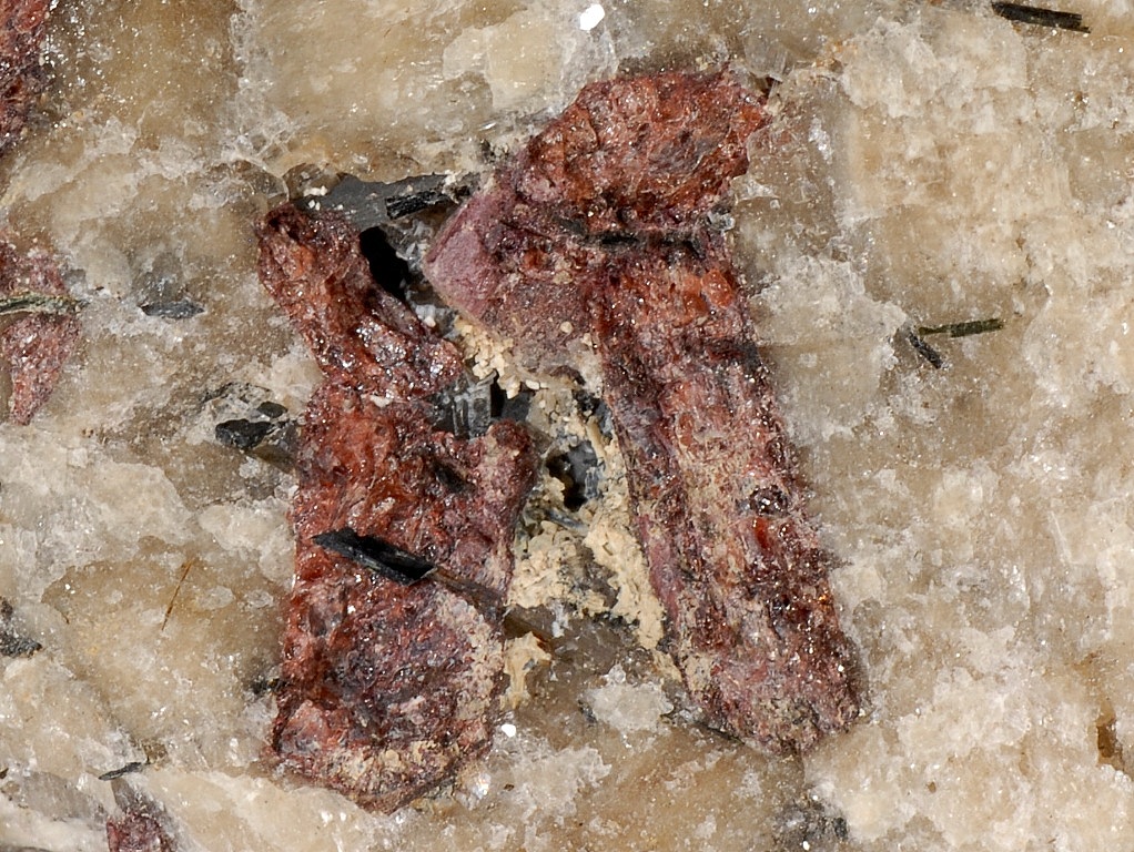 Lorenzenite Vinogradovite & Eudialyte