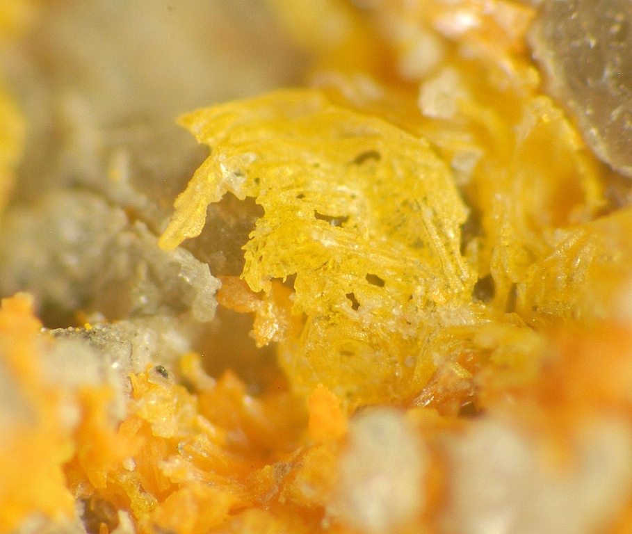 Uzonite & Alacránite