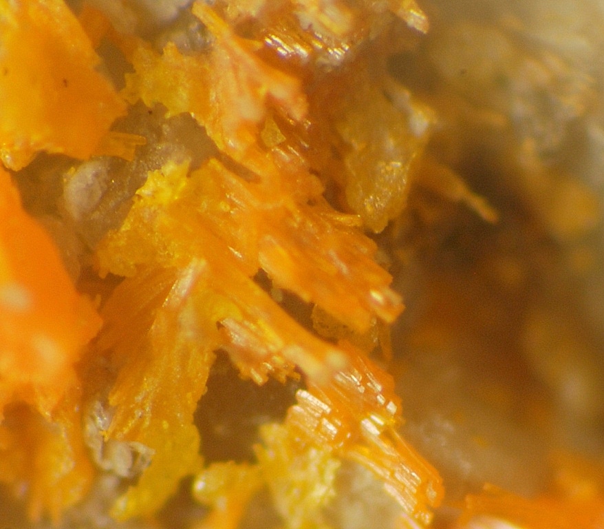 Uzonite & Alacránite