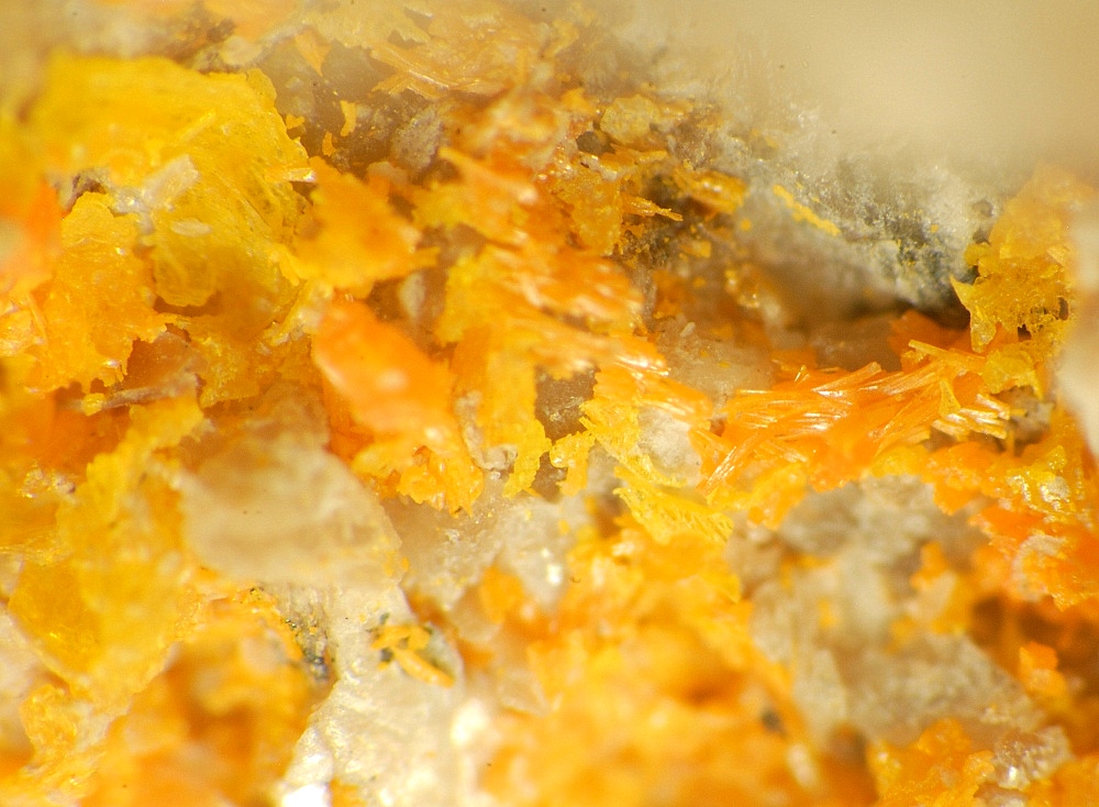 Uzonite & Alacránite