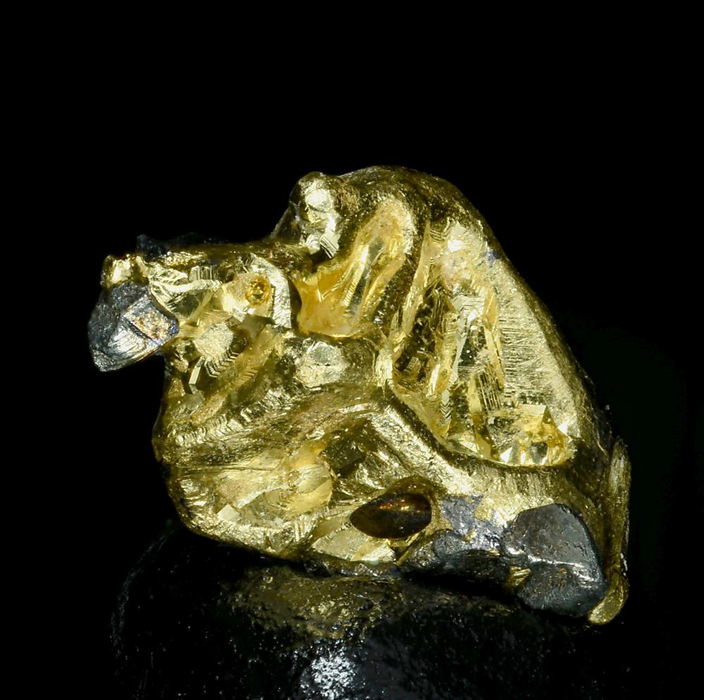 Altaite On Gold