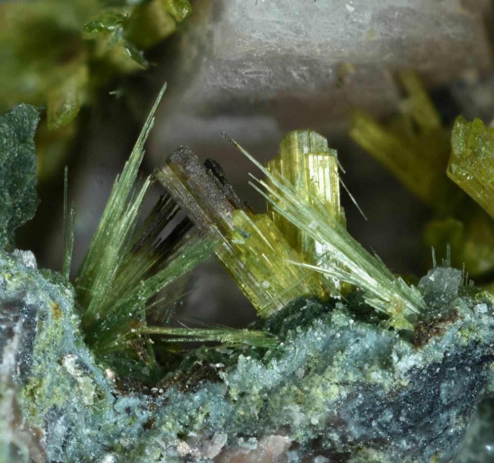 Pumpellyite-(Fe2+) & Epidote