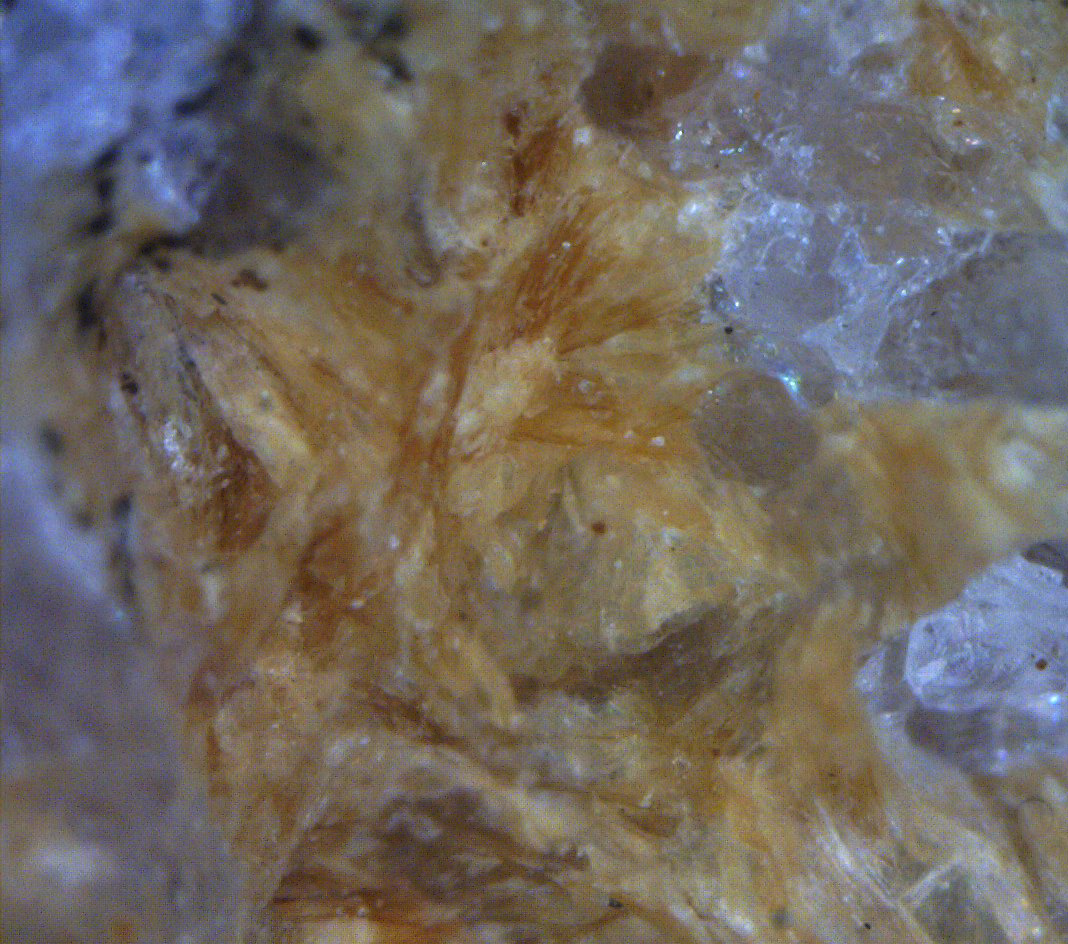 Ganophyllite