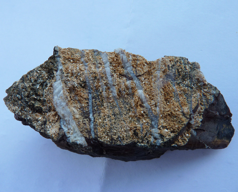 Ganophyllite