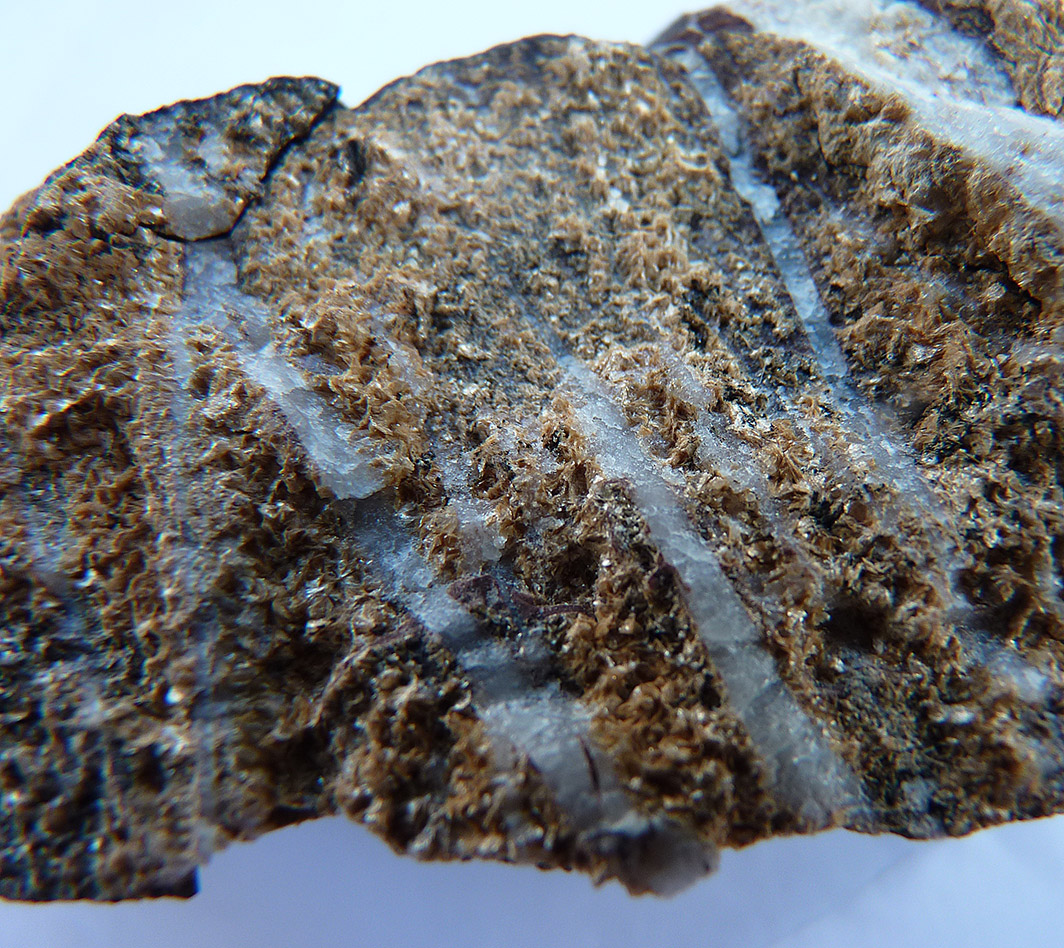Ganophyllite