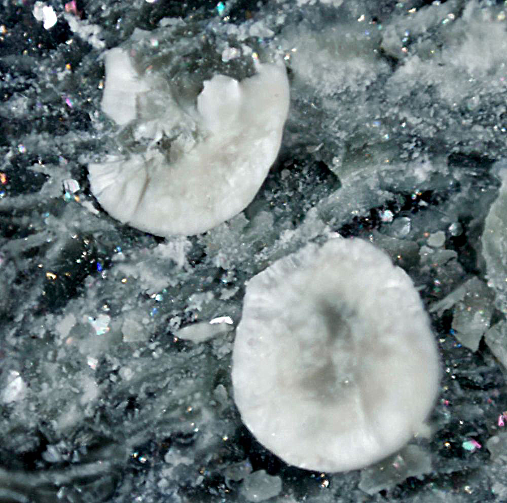 Pokrovskite & Pyroaurite