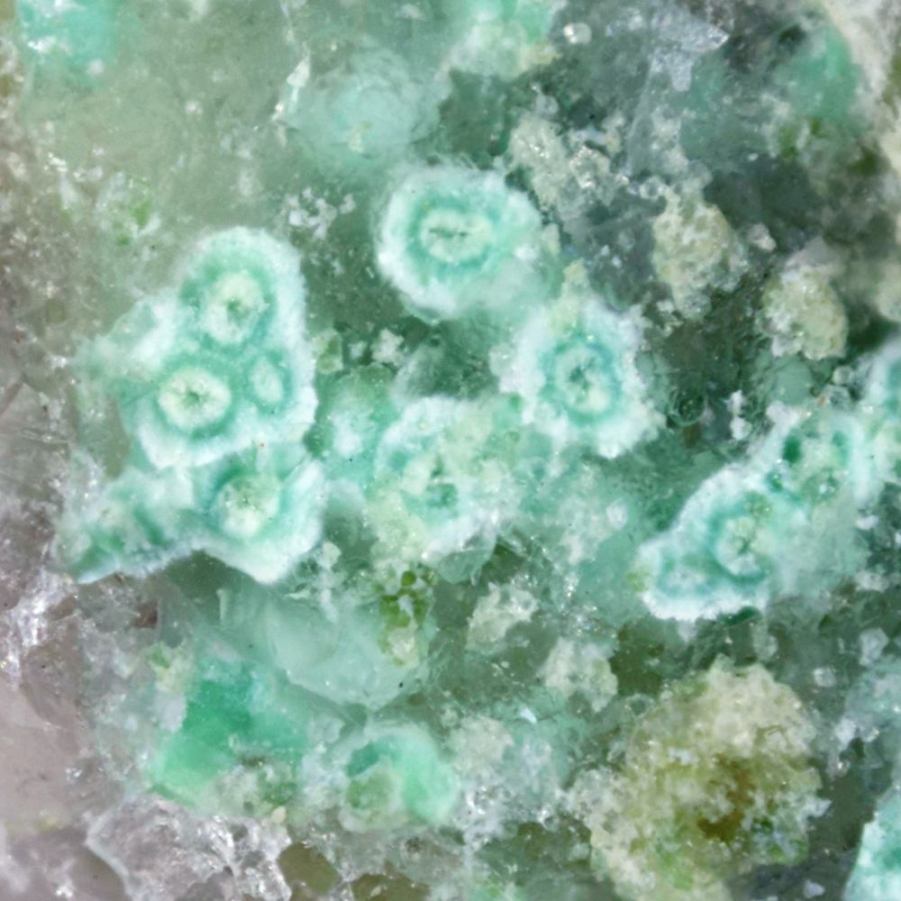 Gilalite & Kinoite