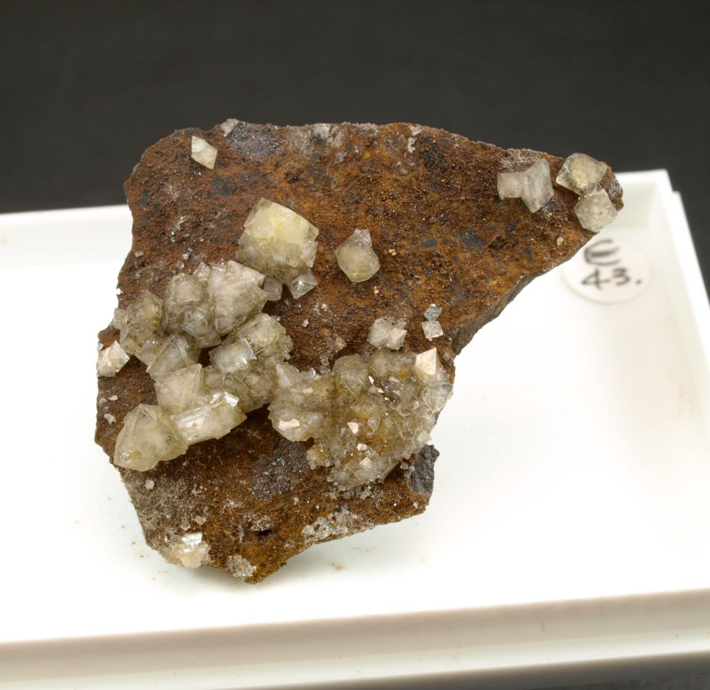 Wardite