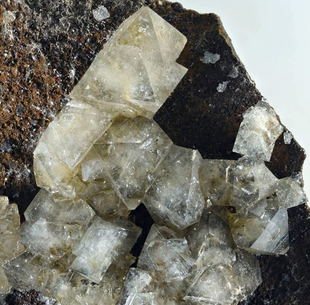 Wardite