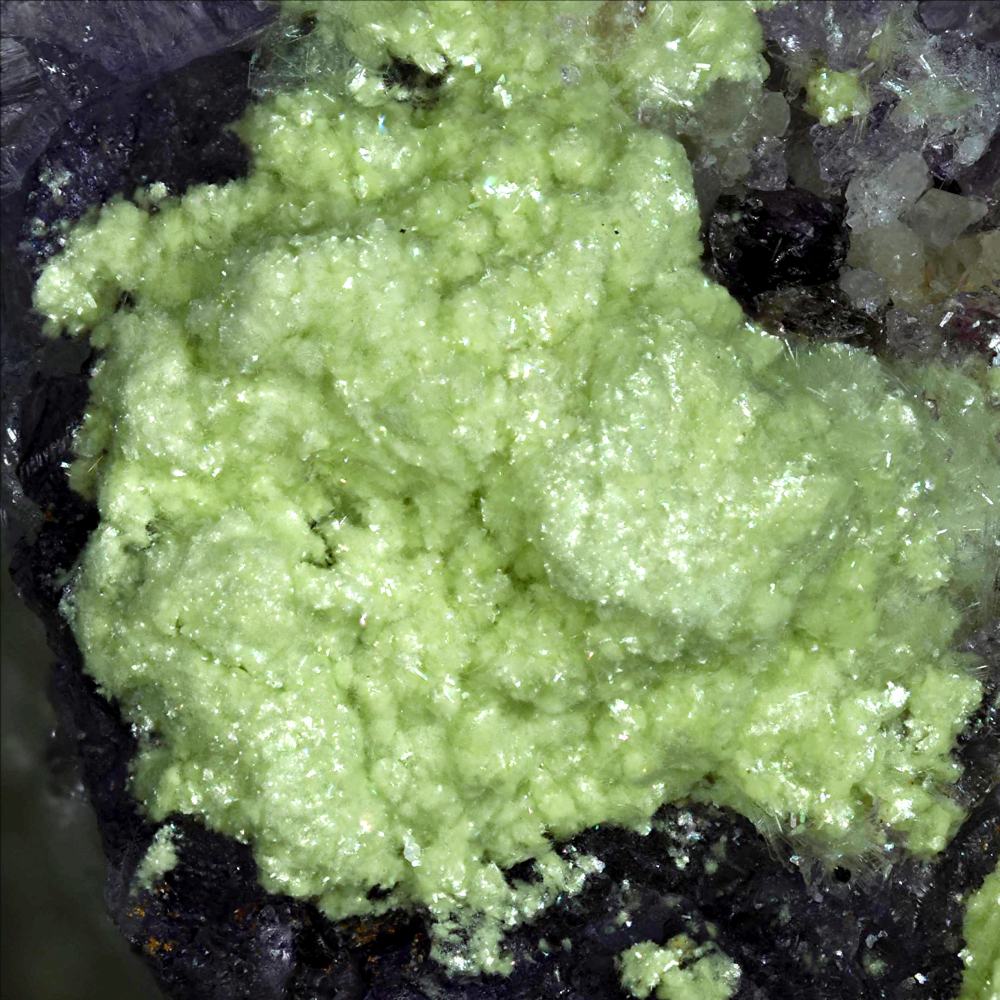 Carlhintzeite & Creedite